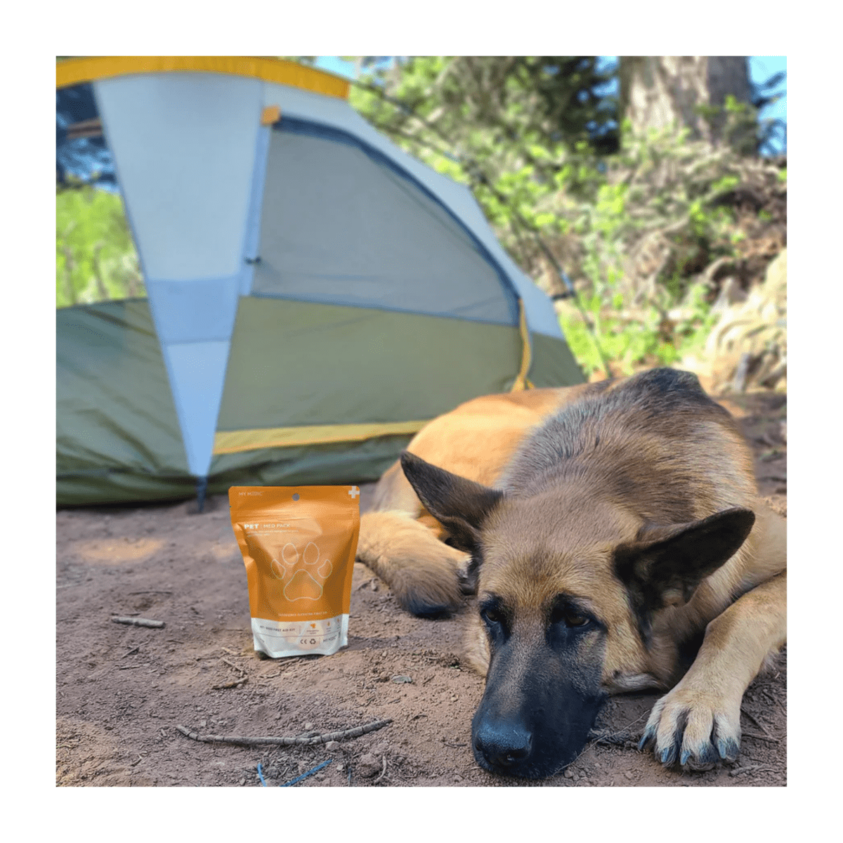 Pet Medic Med Pack - Life Raft Professionals