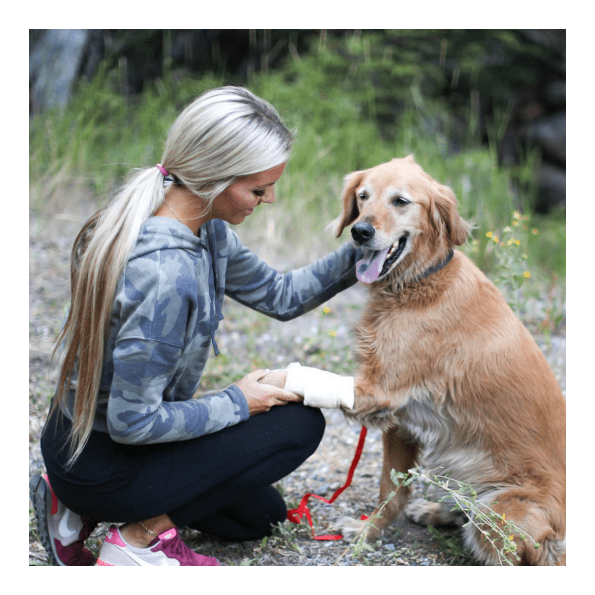 Pet Medic Med Pack - Life Raft Professionals