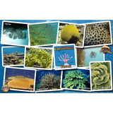 Caribbean Coral Identification Guide Laminated Card - Life Raft Professionals