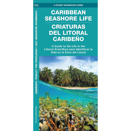 Caribbean Seashore Life (Criaturas Del Litoral Caribeno): A Guide to the Life in the Littoral Zone (Bilingual) - Life Raft Professionals