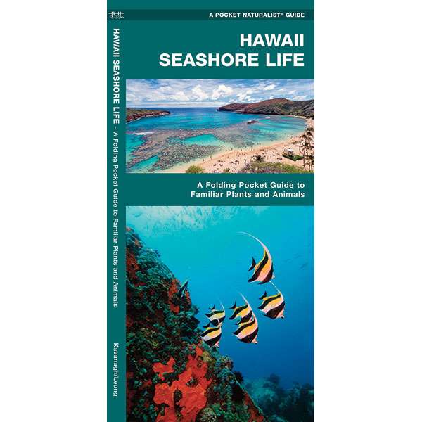 Hawaii Seashore Life - Life Raft Professionals