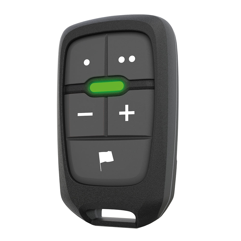 Lowrance LR-1 Remote Controller - Life Raft Professionals